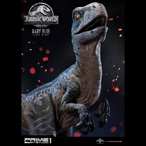 Baby Blue Raptor Life Size